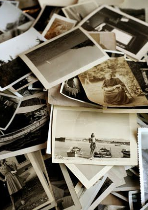 genealogy